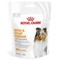Royal Canin Skin & Coat Chews Adult Supplements 240g