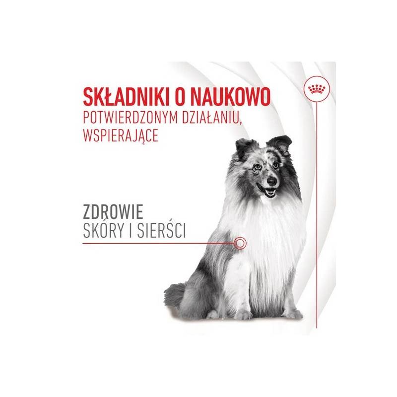 Royal Canin Skin & Coat Chews Adult Supplements 240g