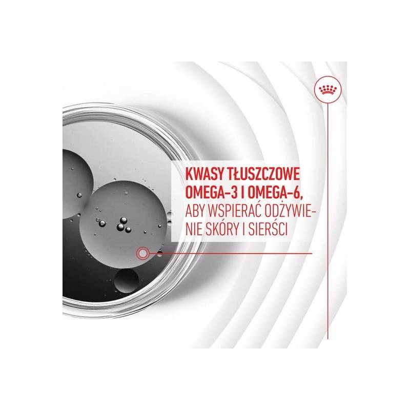 Royal Canin Skin & Coat Chews Adult Supplements 240g