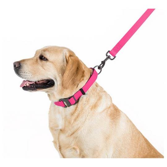 Collar Waterproof Smycz wodoodporna S 15mm/183cm różowa