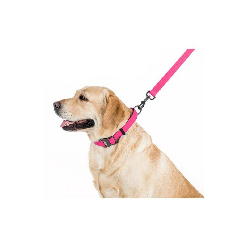 Collar Waterproof Smycz wodoodporna S 15mm/183cm różowa