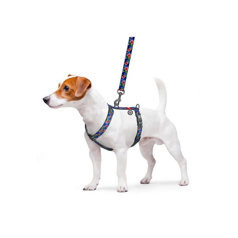 Collar WauDog Nylon Szelki nylonowe anatomiczne w kształcie litery H, z QR-paszportem, plastikowy fastex, wzór FIGA, rozmiar M 2