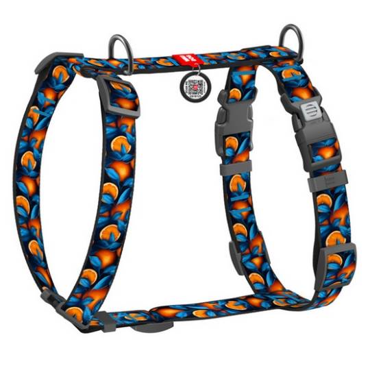 Collar WauDog Nylon Szelki nylonowe anatomiczne w kształcie litery H, z QR-paszportem, plastikowy fastex, wzór POMARAŃCZE, rozmi