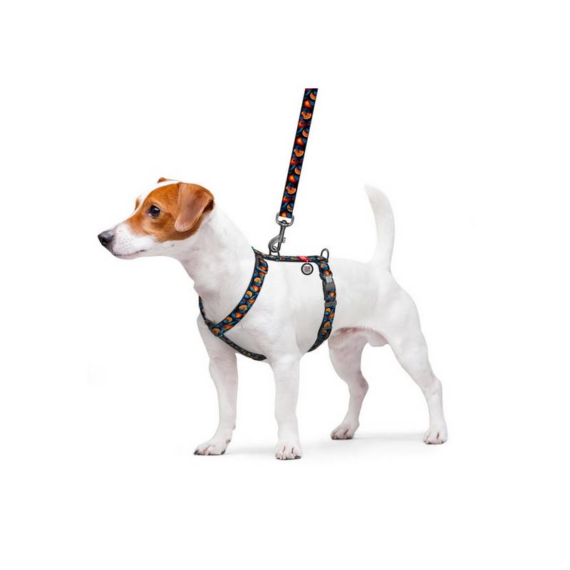 Collar WauDog Nylon Szelki nylonowe anatomiczne w kształcie litery H, z QR-paszportem, plastikowy fastex, wzór POMARAŃCZE, rozmi