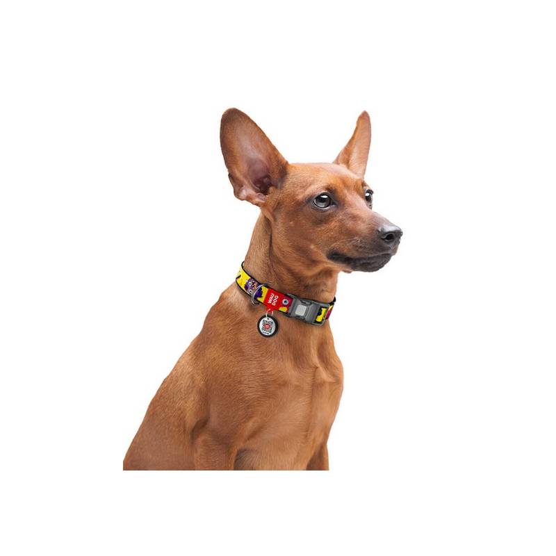 Collar WauDog Nylon Obroża nylonowa z QR-paszportem, plastikowy fastex, wzór FUTRZANE POTWORY, XXL 35mm/46-70cm