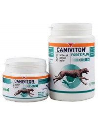 Caniviton Forte Plus 30 tabletek