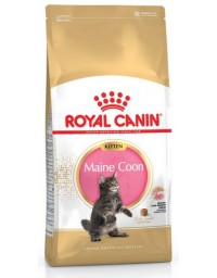 Royal Canin Maine Coon Kitten karma sucha dla kociąt, do 15 miesiąca, rasy maine coon 4kg