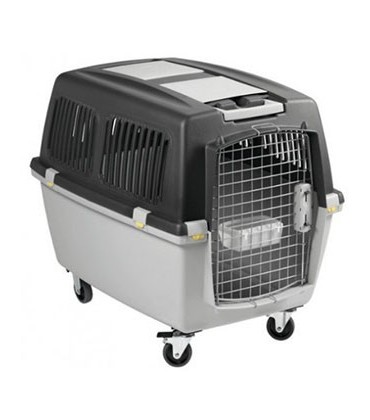 Transportery i Torby Transportowe dla Psów | Do Samochodu i Samolotu