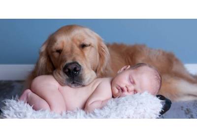 Najlepsze rasy psów do domu z dziećmi