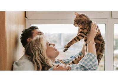 Jak koty okazują miłość?