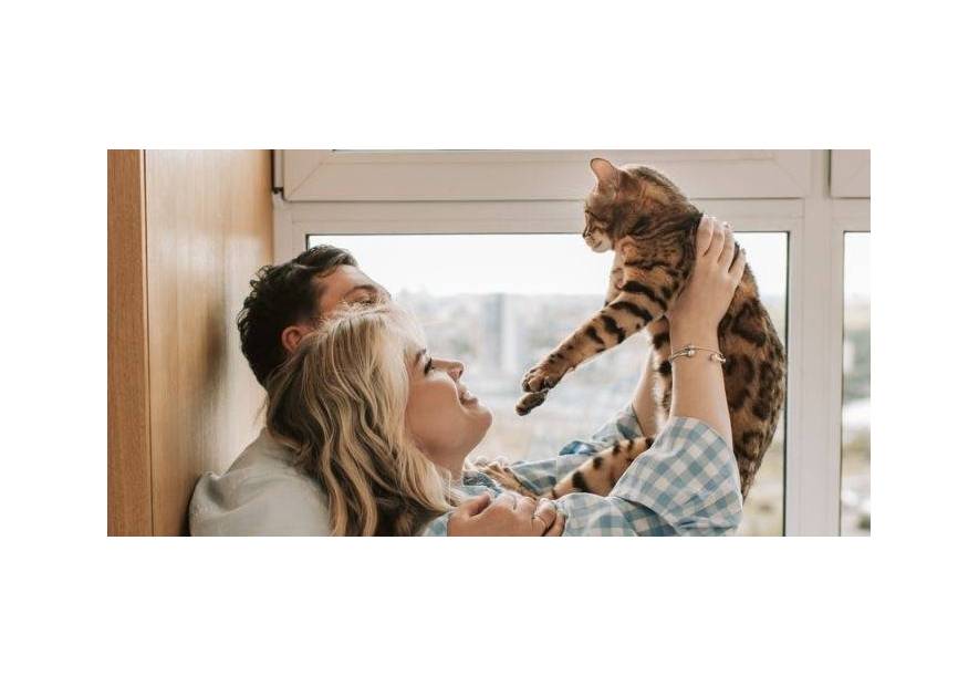 Jak koty okazują miłość?