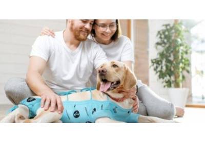 Ubranka ochronne – kiedy przydadzą się Twojemu pupilowi?