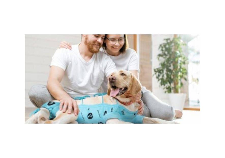 Ubranka ochronne – kiedy przydadzą się Twojemu pupilowi?