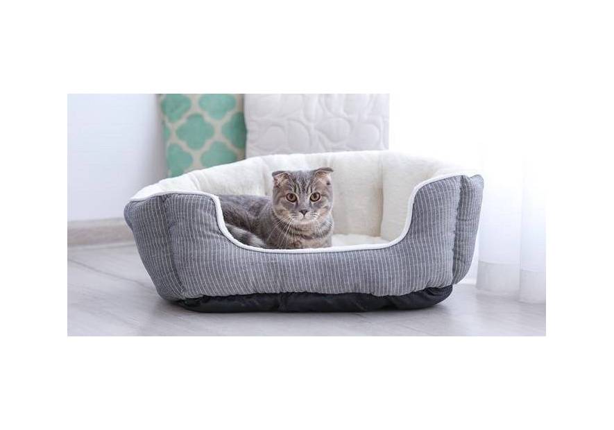 Jak wybrać odpowiednie legowisko dla kota? Sprawdź praktyczne porady