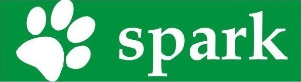 Spark