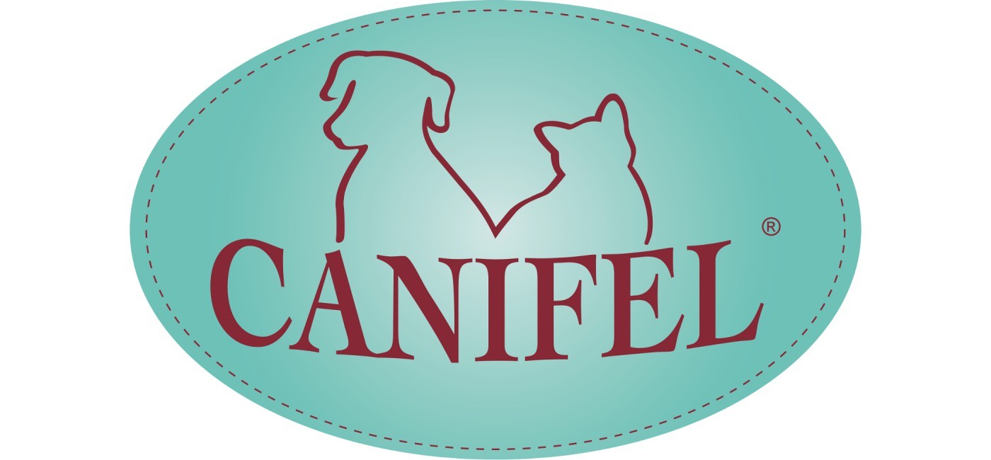 Canifel