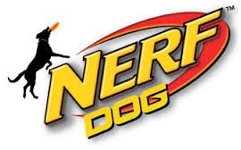 NerfDog
