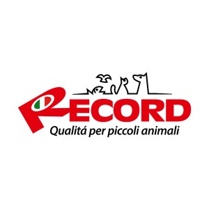Record Italy