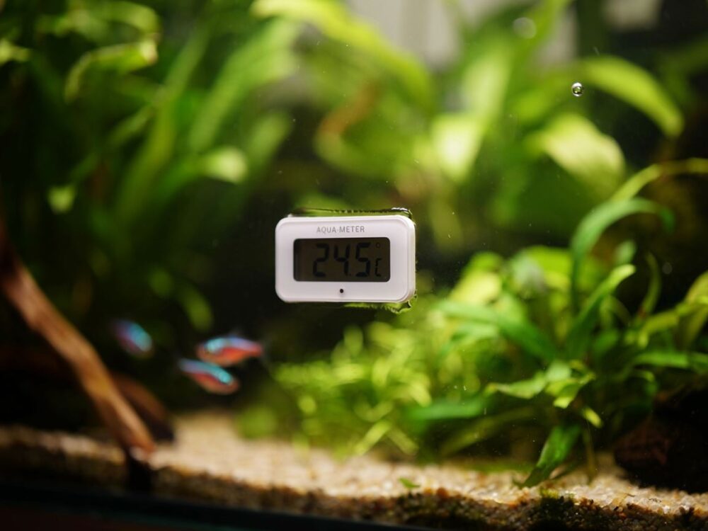 odczyt temperatury w akwarium